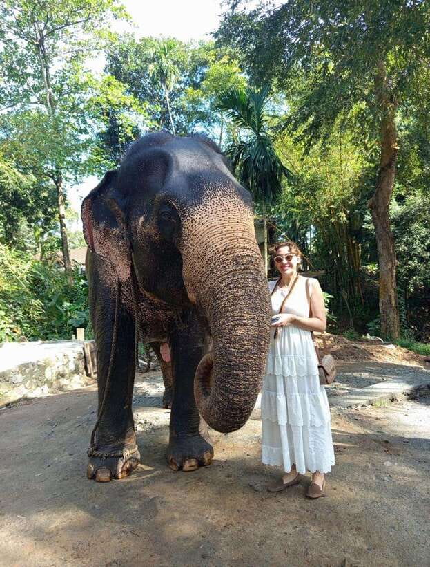 From Colombo or Negombo: Pinnawala, Kandy & Tea Factory Tour - Pinnawala and the elephants by the river
