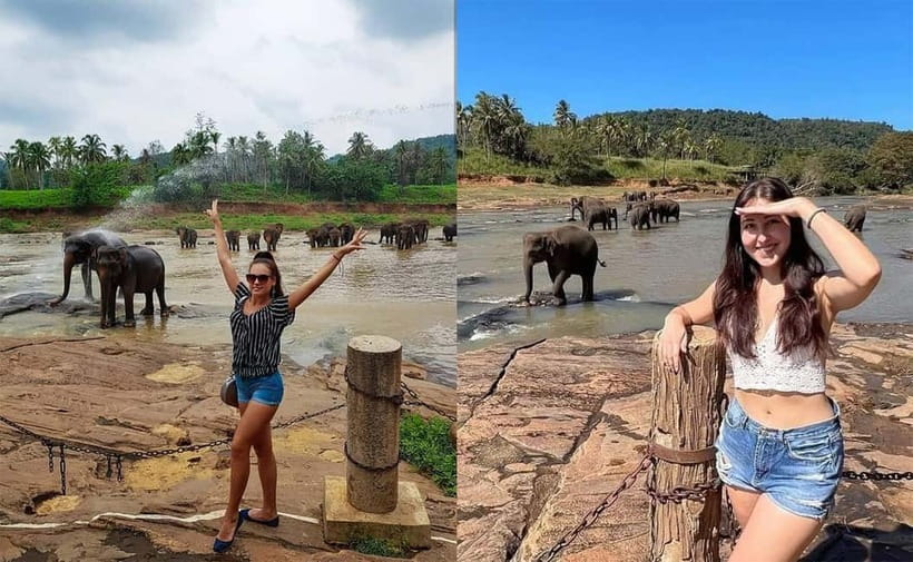 From Colombo: Pinnawala & Tea factory with Kandy Hotel Drop - Key points to know before booking