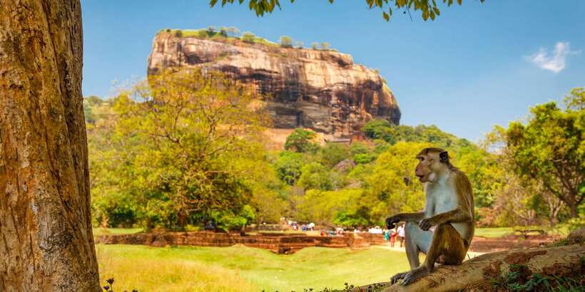 From Colombo: Sigiriya and Dambulla Day Trip with Safari - Should you book the Sigiriya and Dambulla day trip?