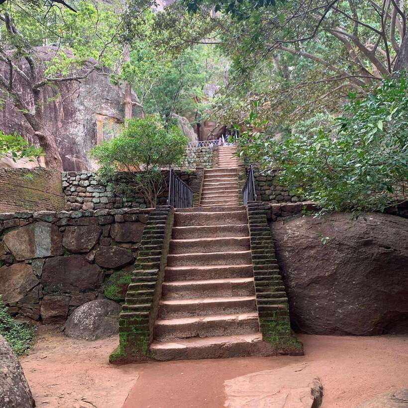 From Colombo: Sigiriya Rock, Dambulla & Minneriya 4x4 Safari - What the $89 price really covers