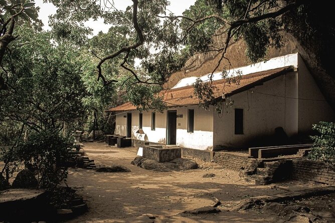 From Colombo to Sigiriya Fortress, Dambulla & Minneriya Safari - Should you book the Sigiriya and Minneriya day trip?