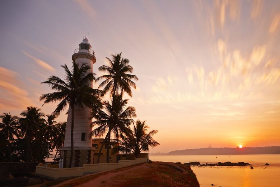 From Colombo: Virgin White Tea and Galle City Tour - What the $115 price covers