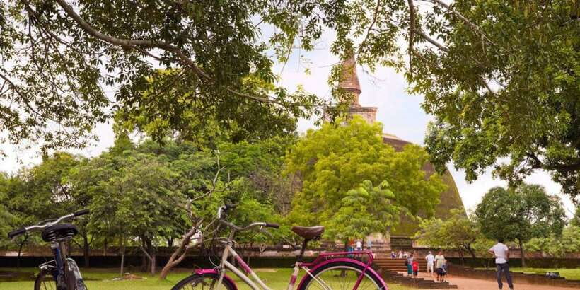 From Dambulla/ Sigiriya: Ancient City of Polonnaruwa by Bike - Nissankamulla Palace and carved detail