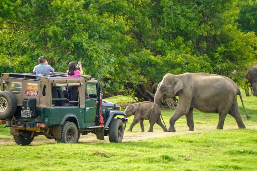 From Dambulla, Sigiriya: Polonnaruwa Tuk Tuk Day Tour - Sacred Quadrangle: the most concentrated group of monuments