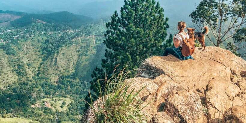 From Ella- All inclusive Day Trip of 8 Iconic Sights & Train - Little Adam’s Peak is the easier summit