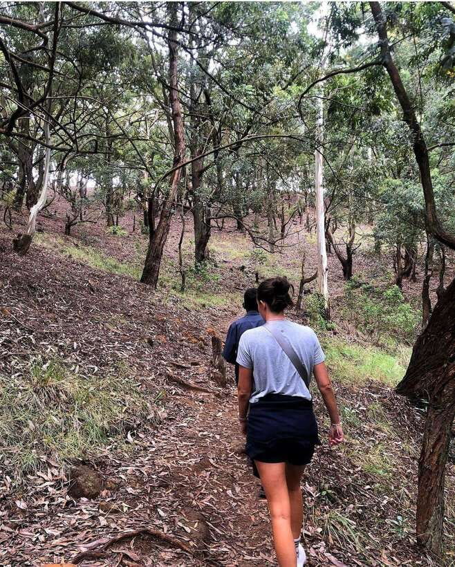 From Ella- All Inclusive Day Trip to Experience Ella & Train - The Demodara to Ella train ride is the day’s signature moment