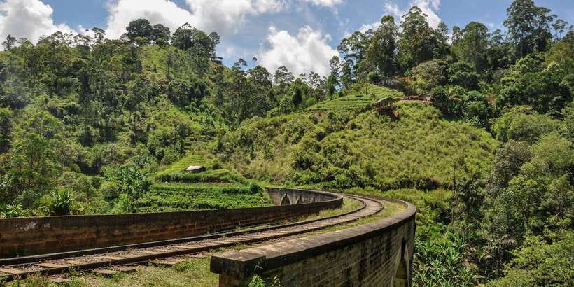 From Ella: Little Adam’s Peak and Nine Arches Bridge Hiking - Booking flexibility and practical details