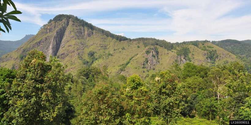 From Ella: Little Adam’s Peak and Nine Arches Bridge Hiking - The panorama from Little Adam’s Peak