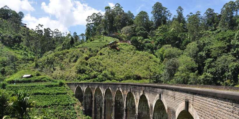 From Ella: Little Adam’s Peak and Nine Arches Bridge Hiking - Walking through woodland to Nine Arches Bridge