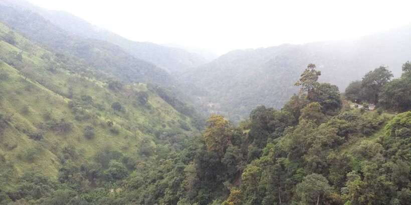 From Ella: Little Adam’s Peak and Nine Arches Bridge Hiking - Following the railway to Demodara Station