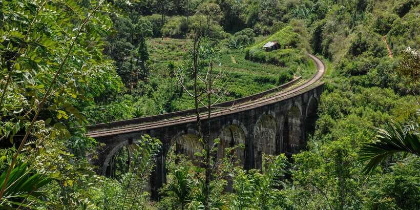 From Ella: Little Adam’s Peak and Nine Arches Bridge Hiking - What the private guide adds
