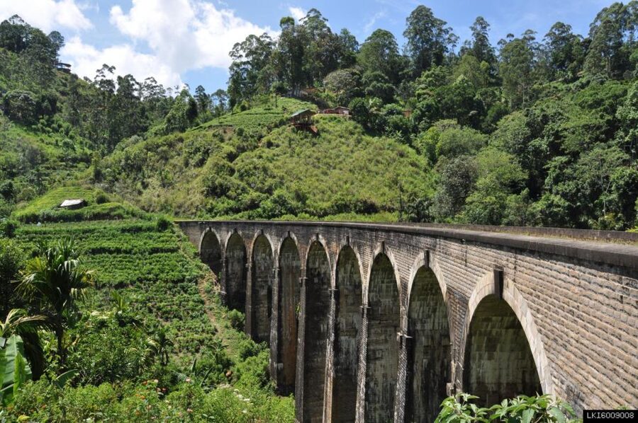 From Ella: Little Adam’s Peak and Nine Arches Bridge Hiking - Lunch, refreshments, and what to carry