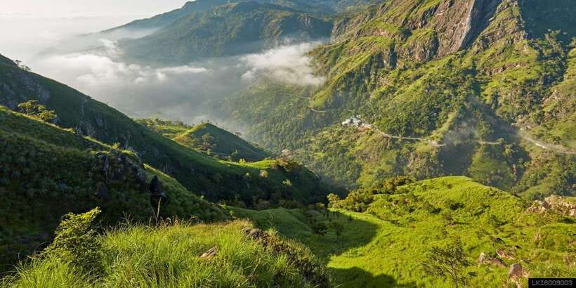 From Ella: Little Adam’s Peak and Nine Arches Bridge Hiking - Who should book this Ella experience?
