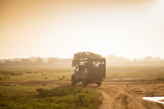 From Ella: Private Yala Safari & Transfer/Tangalle/Mirissa/Galla - Why Yala is worth the early effort