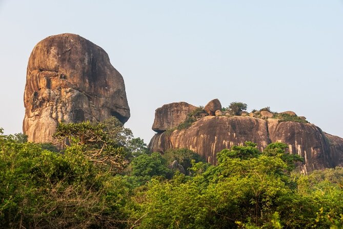From Ella: Private Yala Safari & Transfer/Tangalle/Mirissa/Galla - Breakfast, water, and binoculars are small but valuable