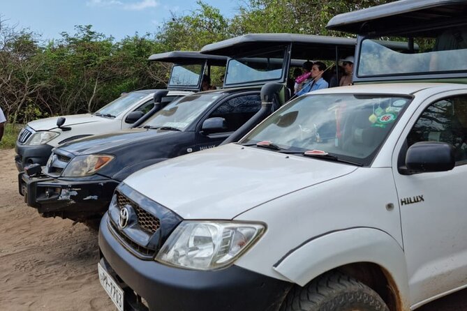 From Ella: Private Yala Safari & Transfer/Tangalle/Mirissa/Galla - The good and the less certain parts