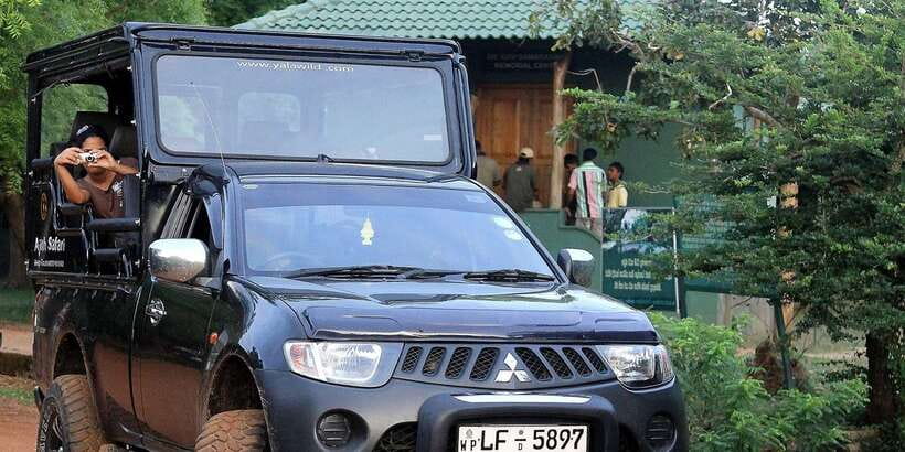 From Ella: Shuttle to Tangalle/Hiriketiya w Udawalawe Safari - Turning the Ella transfer into a safari day