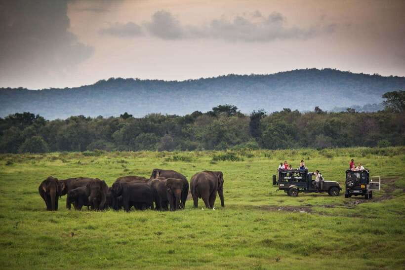 From Ella: Udawalawa Safari and Tangalle/Hiriketiya Transfer - Is the Udawalawe transfer safari worth booking?