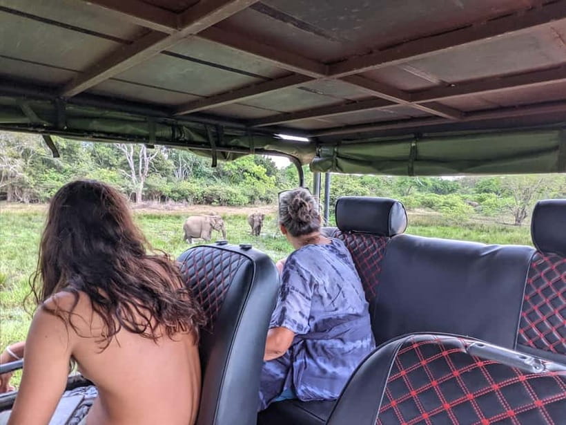 From Ella : Udawalawa Safari & Drop Tangalle/ Mirissa/ Galle - Who will like this trip most