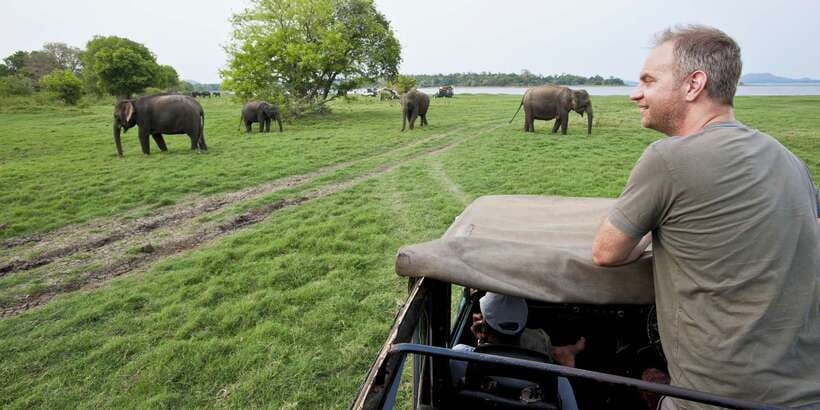 From Ella: Udawalawe Safari with Elephant Transit Home - Why Udawalawe works as a safari from Ella