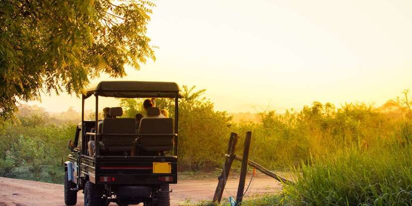 From Ella: Udawalawe Safari with Elephant Transit Home - Is $65 good value?