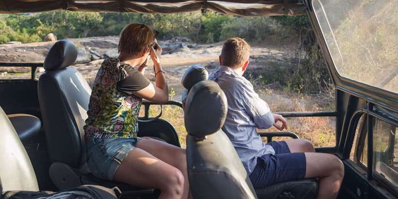 From Ella: Yala National Park Jeep Safari Tour - Should you book the $75 Ella to Yala trip?
