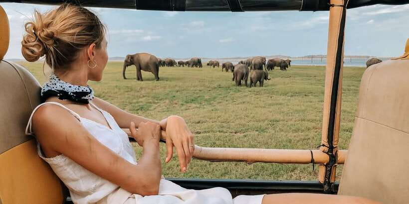 From Ella: Yala National Park Safari Tour in a 4x4 - The first golden hours inside the park