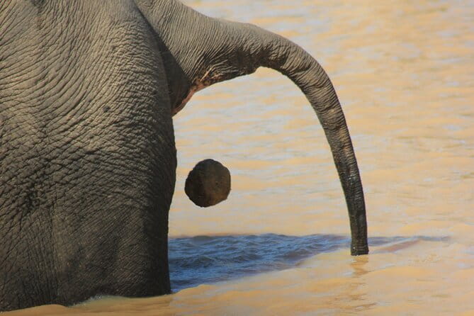 From: Ella - YALA Safari - Drop off: Arugam Bay / Arugambay - Key points to know before booking