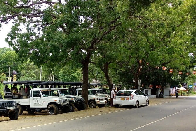 From: Ella - YALA Safari - Drop off: Arugam Bay / Arugambay - Leopard watching without false promises