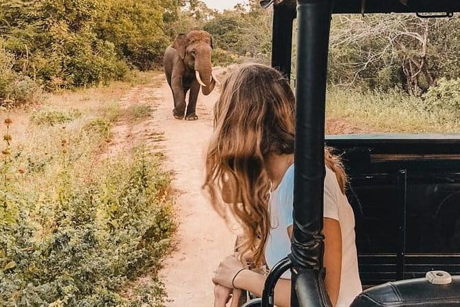 From: Ella - YALA Safari - Drop off: Arugam Bay / Arugambay - The second game drive from about 9 to 9:30 a.m.
