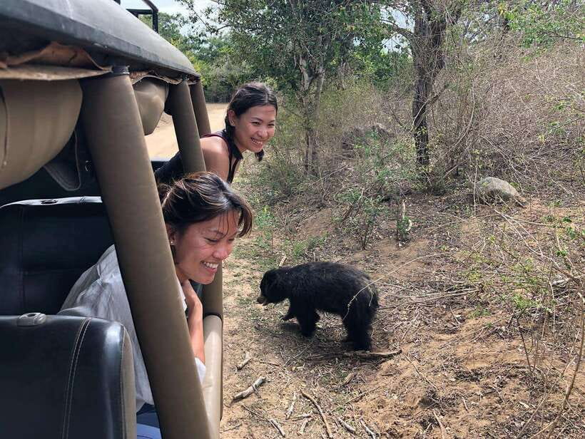 From Ella: Yala Safari Tour with Drop at Tangalle/Hiriketiya - A safari that also gets you to the coast