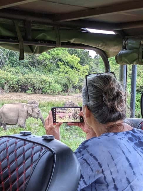 From Ella: Yala Safari & Transfer to Tangalle/Mirissa/Galle - What a leopard sighting really means