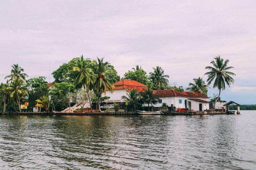From Galle: Exclusive Madu River Safari & Turtle Hatchery - Key points to know before booking