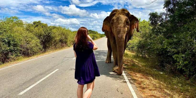 From Galle/Hikkaduwa/Mirissa Trip to Udawalawe Safari Tour - What the $69 price really covers