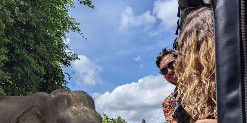From Galle/Hikkaduwa/Mirissa Trip to Udawalawe Safari Tour - Who will get the most from this outing?