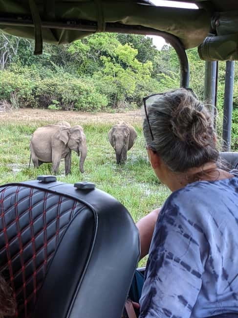 From Galle/ Mirissa/ Tangalle : Udawalawa Safari & Drop Ella - What the $46 price really covers