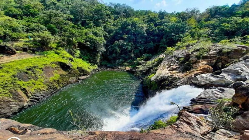 From Galle/Weligama/Mirissa/Matara: Day Trip to Sinharaja - Key points before you book