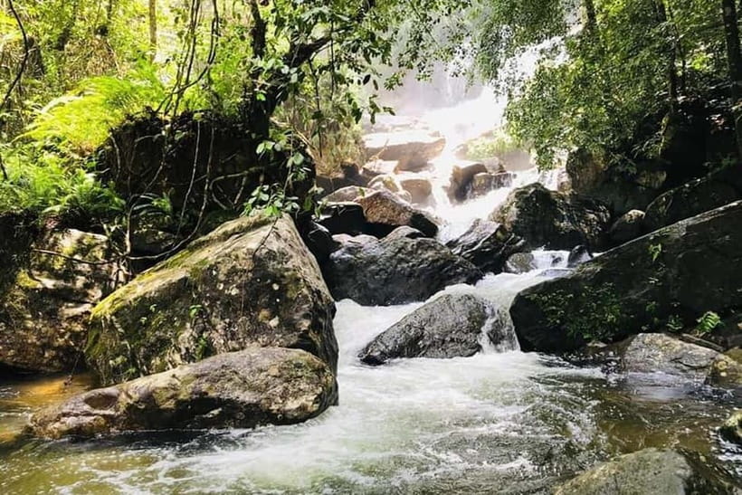From Galle/Weligama/Mirissa/Matara: Day Trip to Sinharaja - Why Sinharaja is worth the road trip