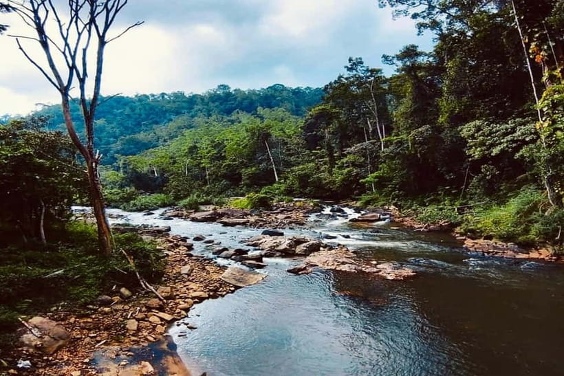 From Galle/Weligama/Mirissa/Matara: Day Trip to Sinharaja - What makes the guide service valuable