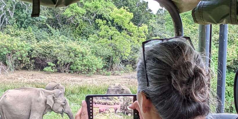 From Hikkaduwa/ Galle/ Mirissa - Yala National Park Safari - From your hotel to the park