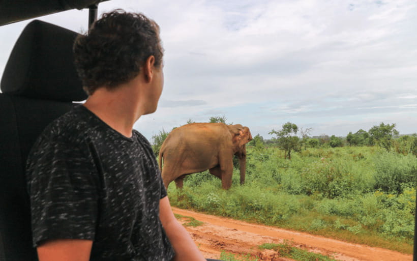 From: Hiriketiya/ Tangalle - Udawalawe Safari - To: Ella - Guide style, wildlife ethics, and group comfort