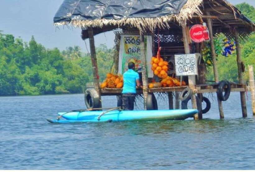 From Kalutara: Exclusive Madu River Safari & Turtle Hatchery - Temple Island and a playful fish therapy stop