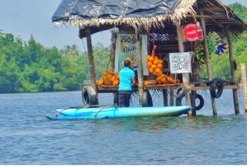 From Kalutara: Exclusive Madu River Safari & Turtle Hatchery - What the crocodile stop really means