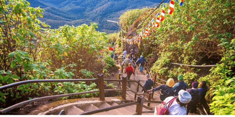From Kandy: Adams Peak Guided hike via Peak Wilderness - What the $85 price covers