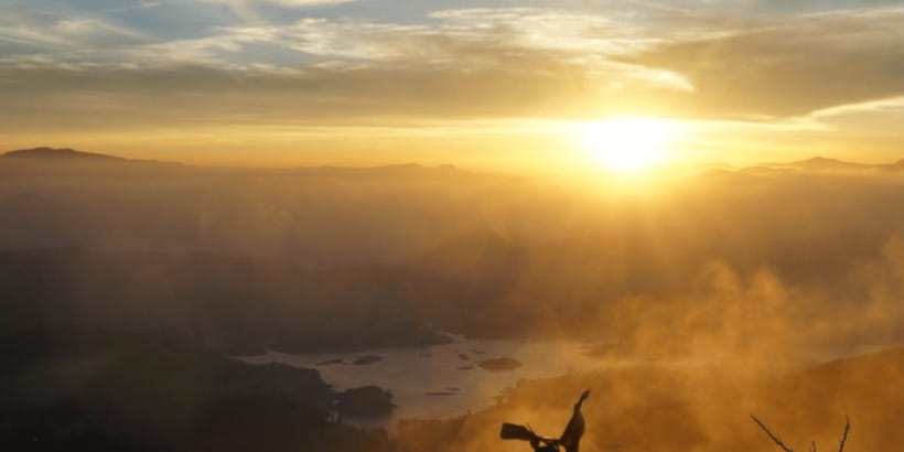 From Kandy: Adams Peak Guided hike via Peak Wilderness - The 9:30 p.m. transfer from Kandy