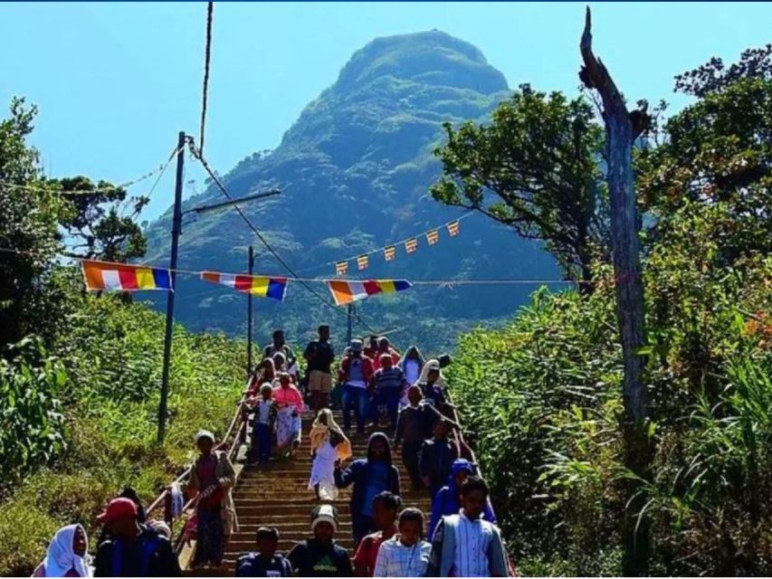 From Kandy: All Inclusive Adams Peak Epic Guided Hike - The late-night ride from Kandy to Nallatanniya