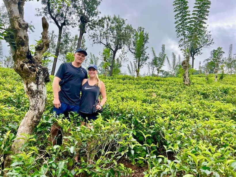 From Kandy: Ella Drop Tour via Nuwara Eliya - The final road to Ella