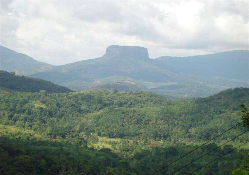 From Kandy: Kandy To Pinnawala Day Tour by Tuk Tuk - What the $42 price really covers