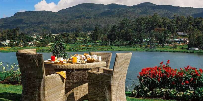 From Kandy: Nuwara Eliya by Train - Why the Kandy to Nuwara Eliya train ride is worth your morning