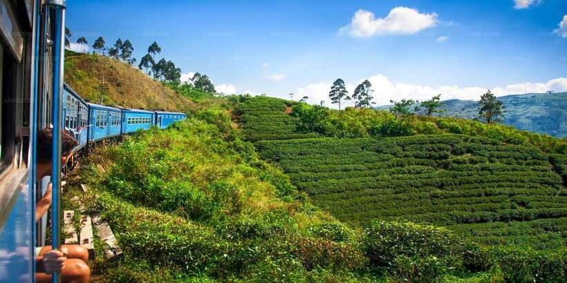 From Kandy: Nuwara Eliya by Train - Ramboda Falls on the road back